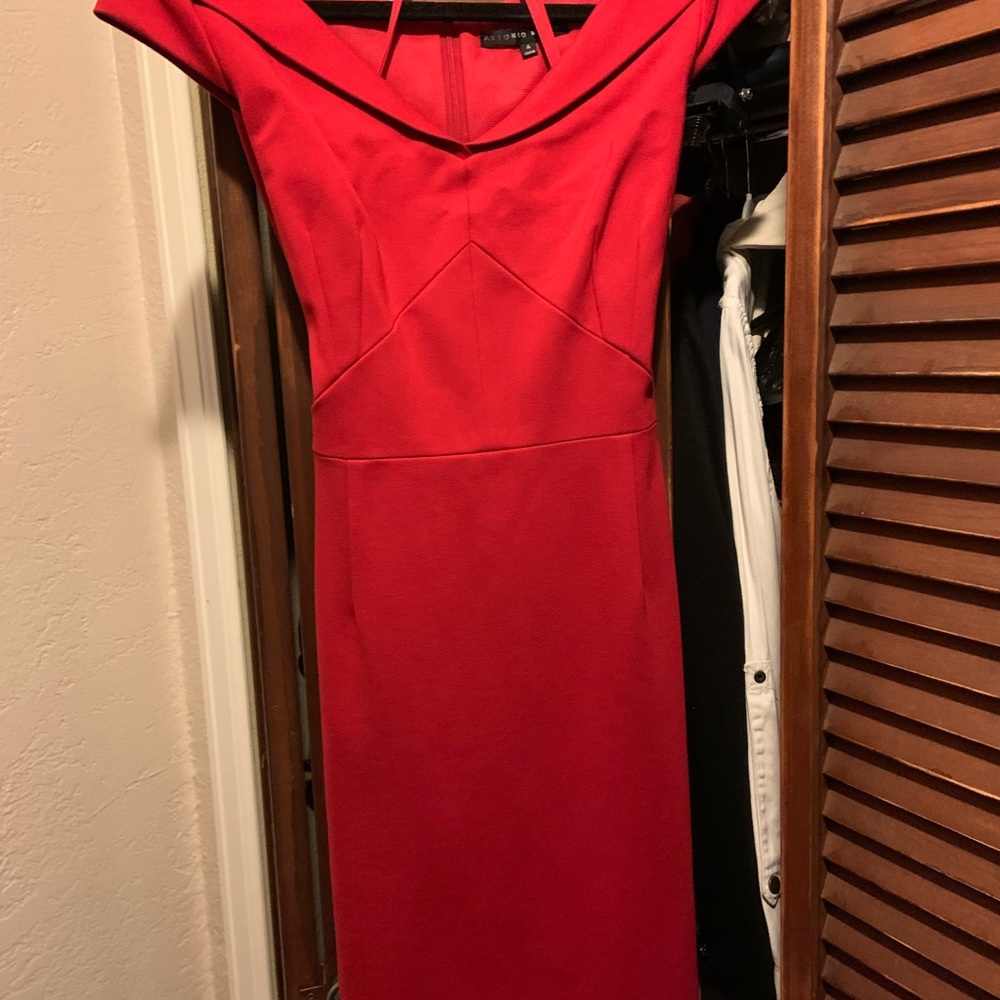 Antonio melani dress